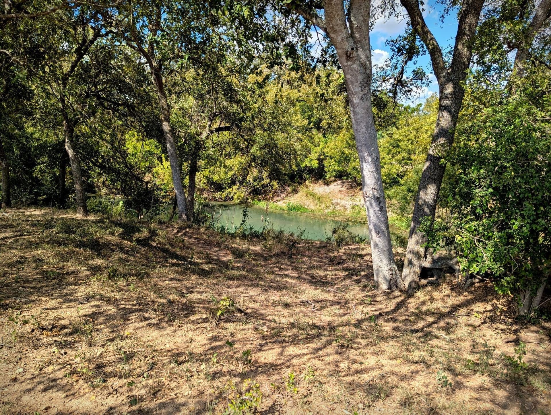 105.4 acres in Caldwell (TX) County - photo 22