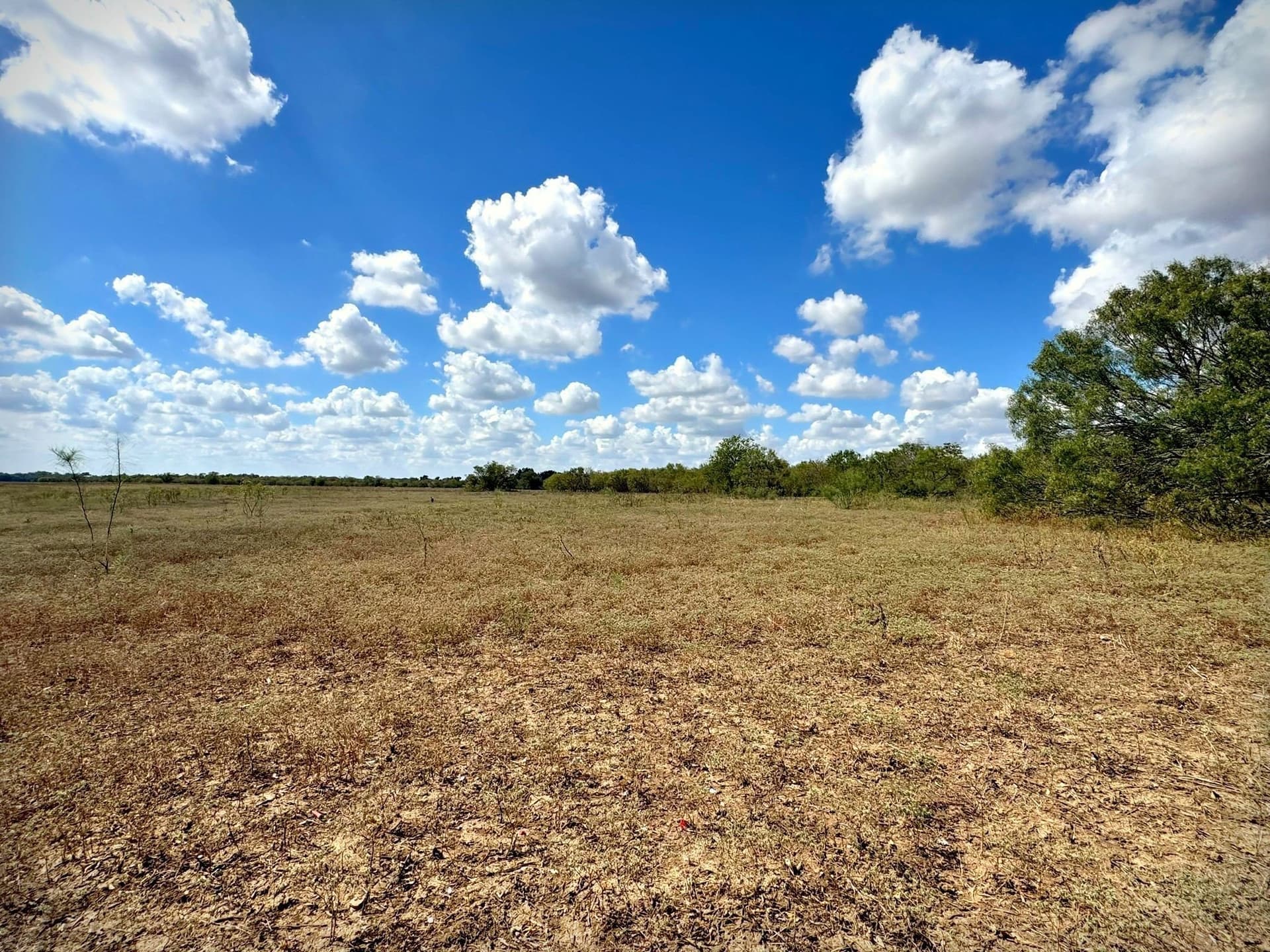 105.4 acres in Caldwell (TX) County - photo 15