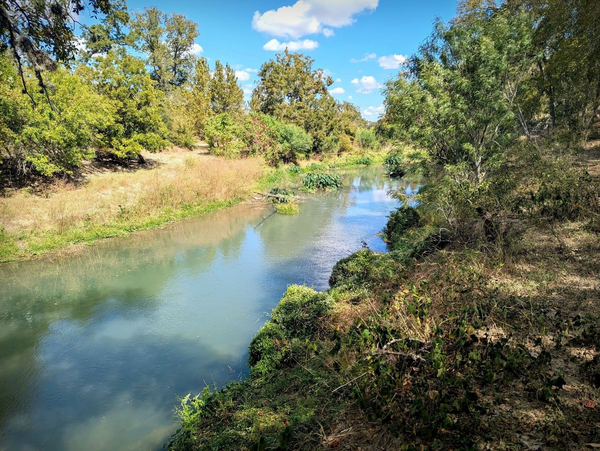 105.4 acres in Caldwell (TX) County - photo 10