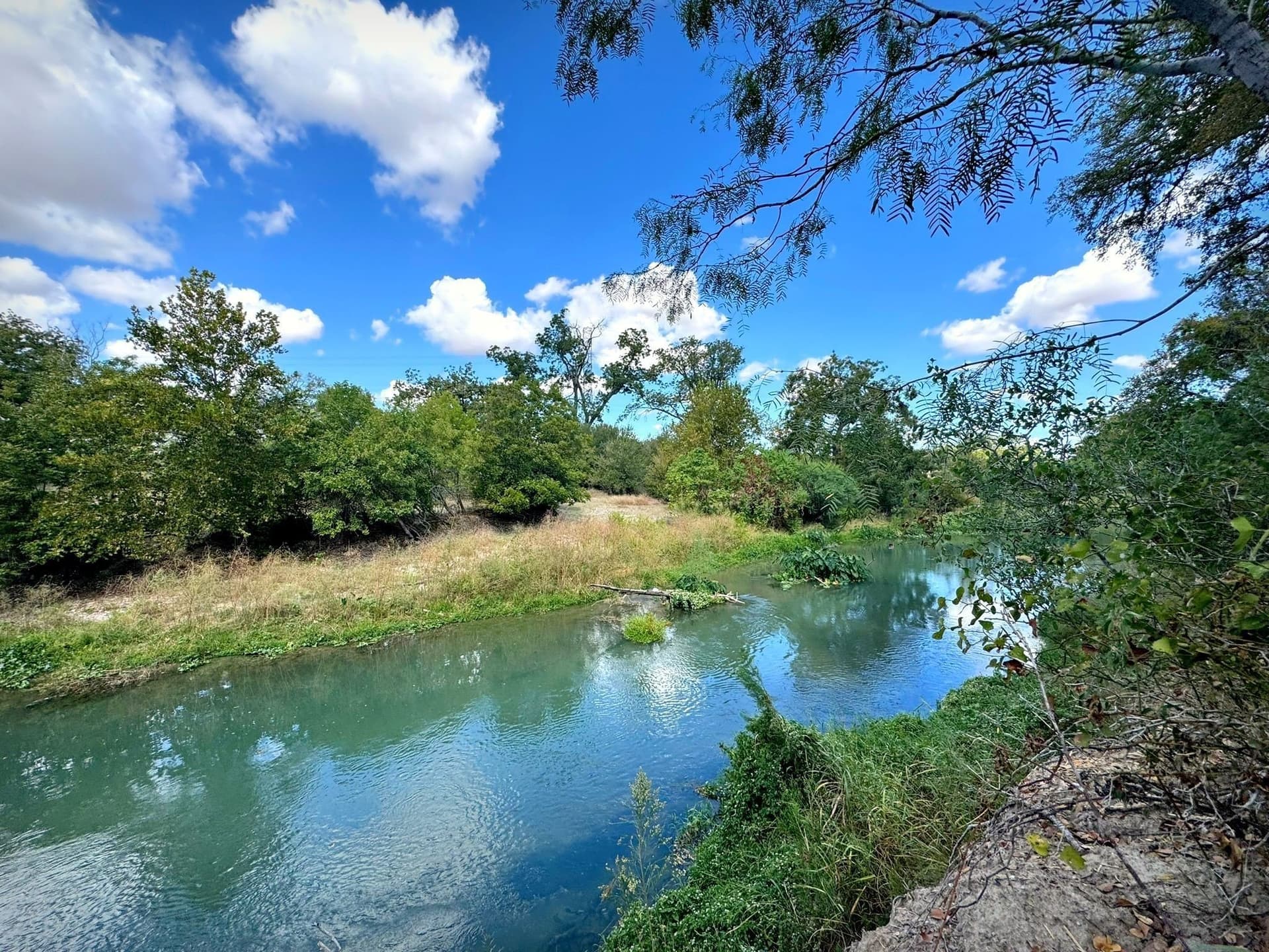 105.4 acres in Caldwell (TX) County gallery image 4
