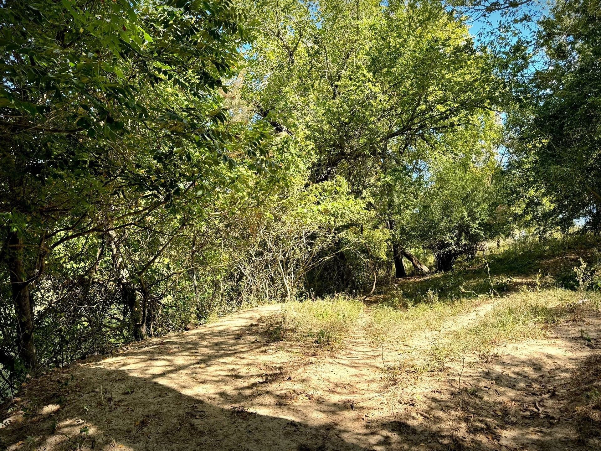 105.4 acres in Caldwell (TX) County - photo 23