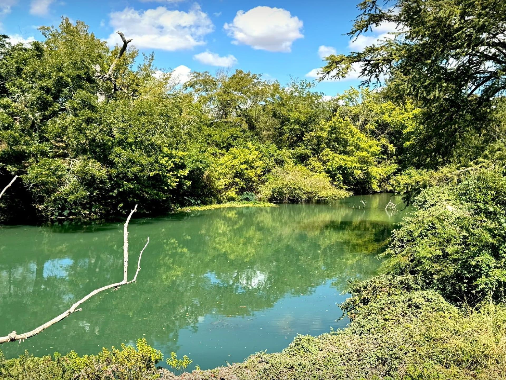 105.4 acres in Caldwell (TX) County - photo 18