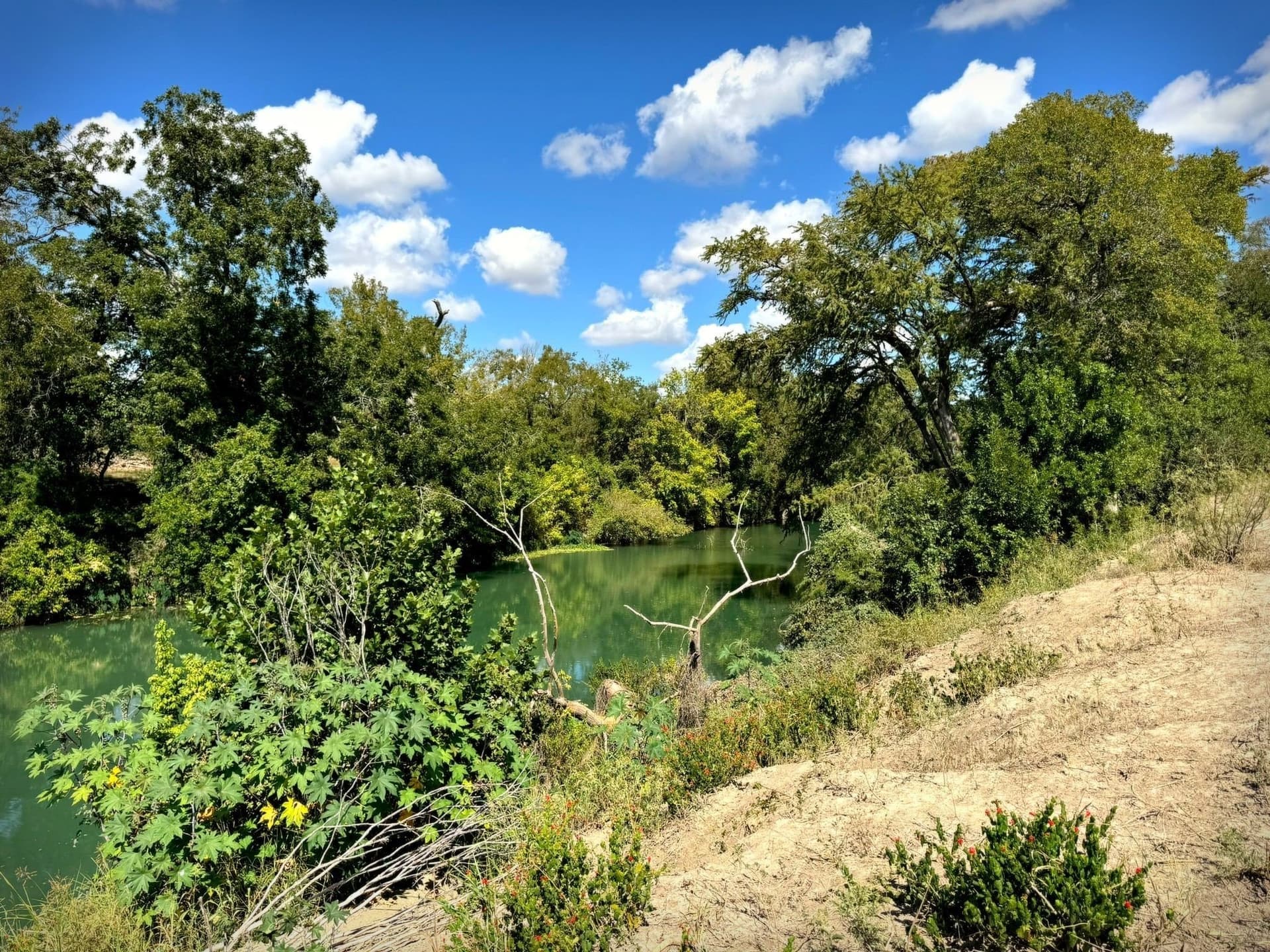 105.4 acres in Caldwell (TX) County featured view