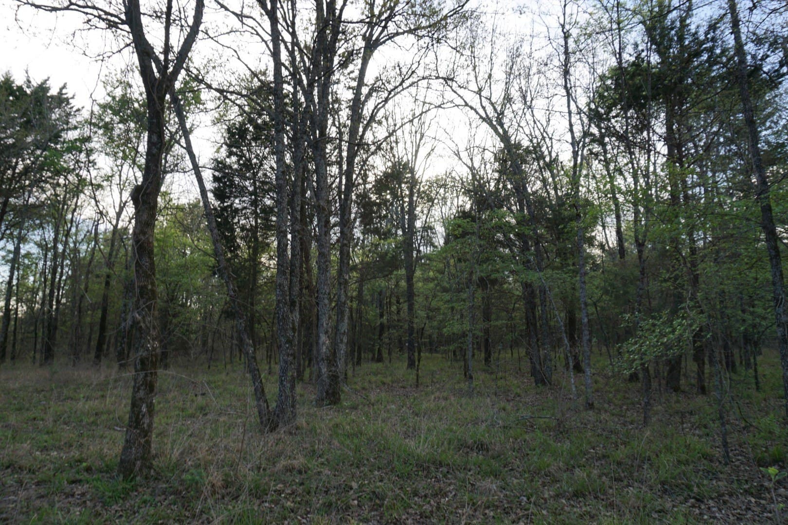 5.44 acres in Henderson County - photo 13