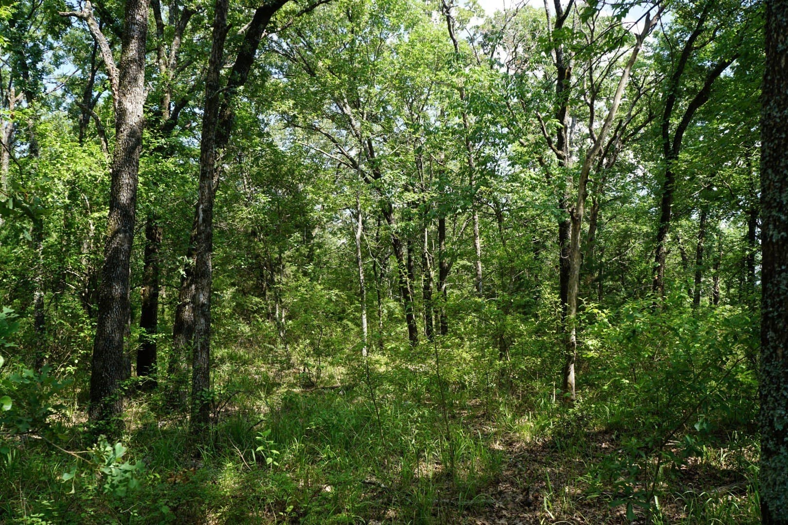 5.44 acres in Henderson County - photo 6