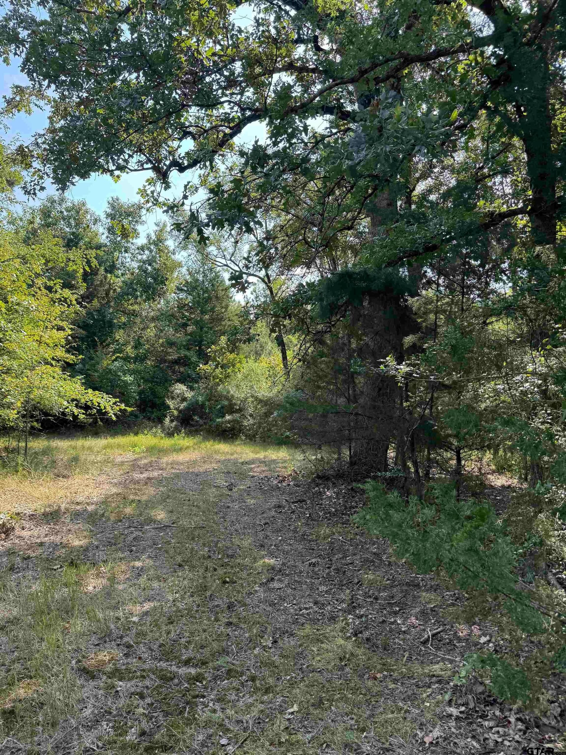 43.65 acres in Anderson County - photo 13
