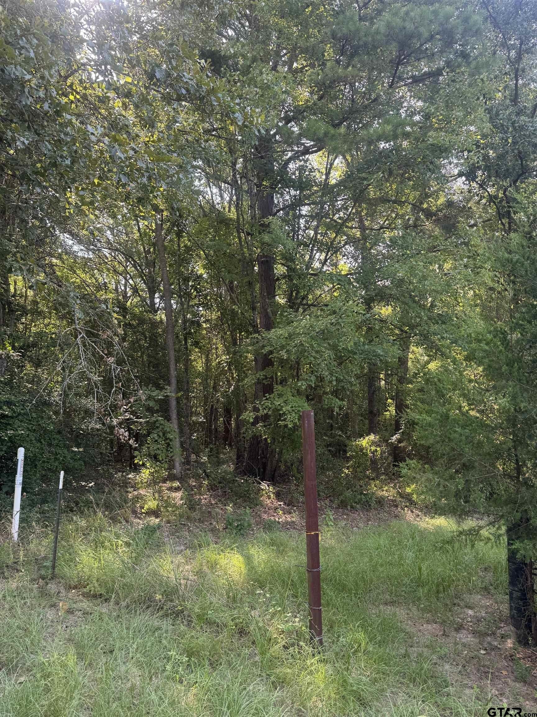 43.65 acres in Anderson County - photo 4