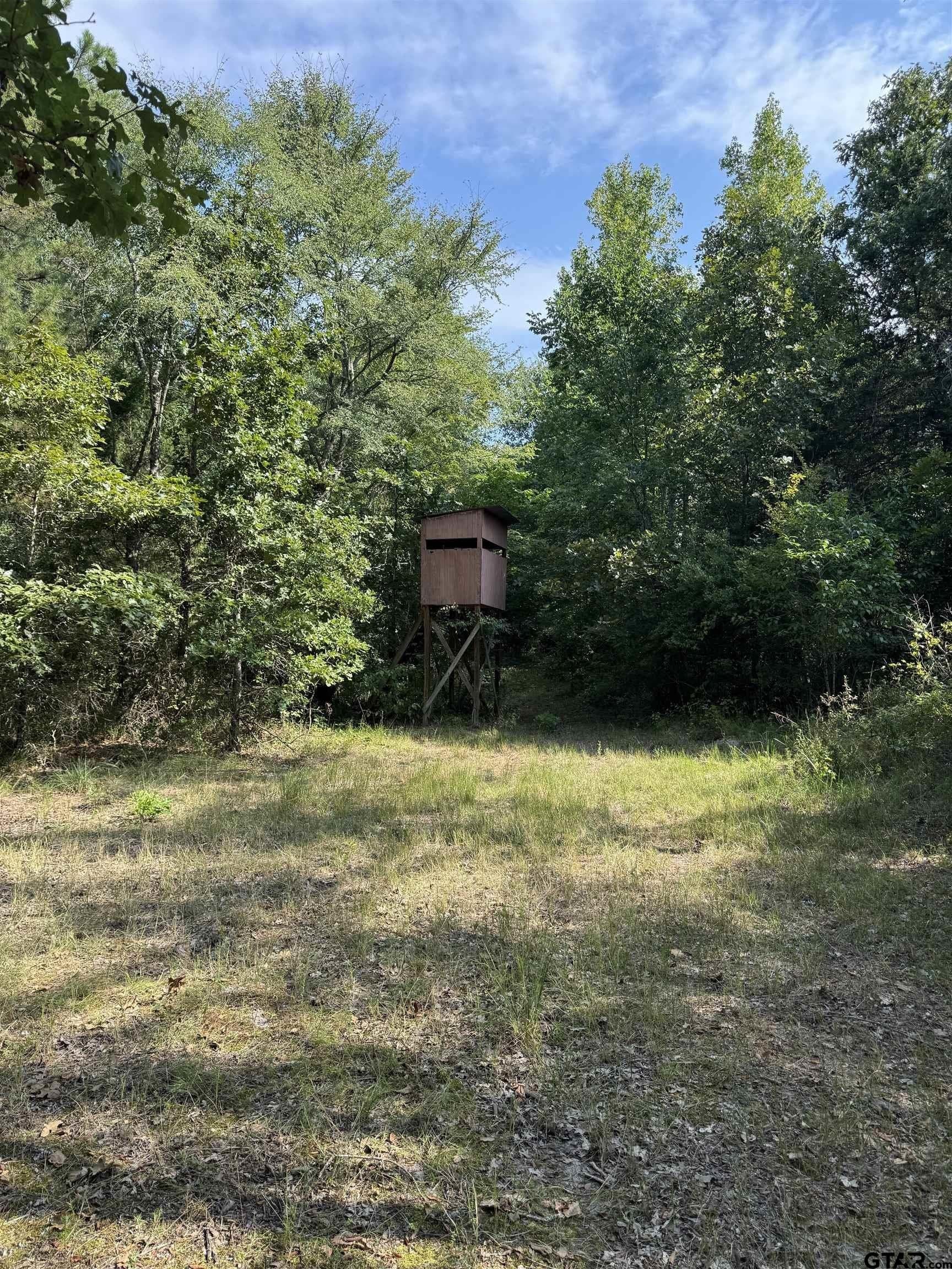 43.65 acres in Anderson County - photo 14