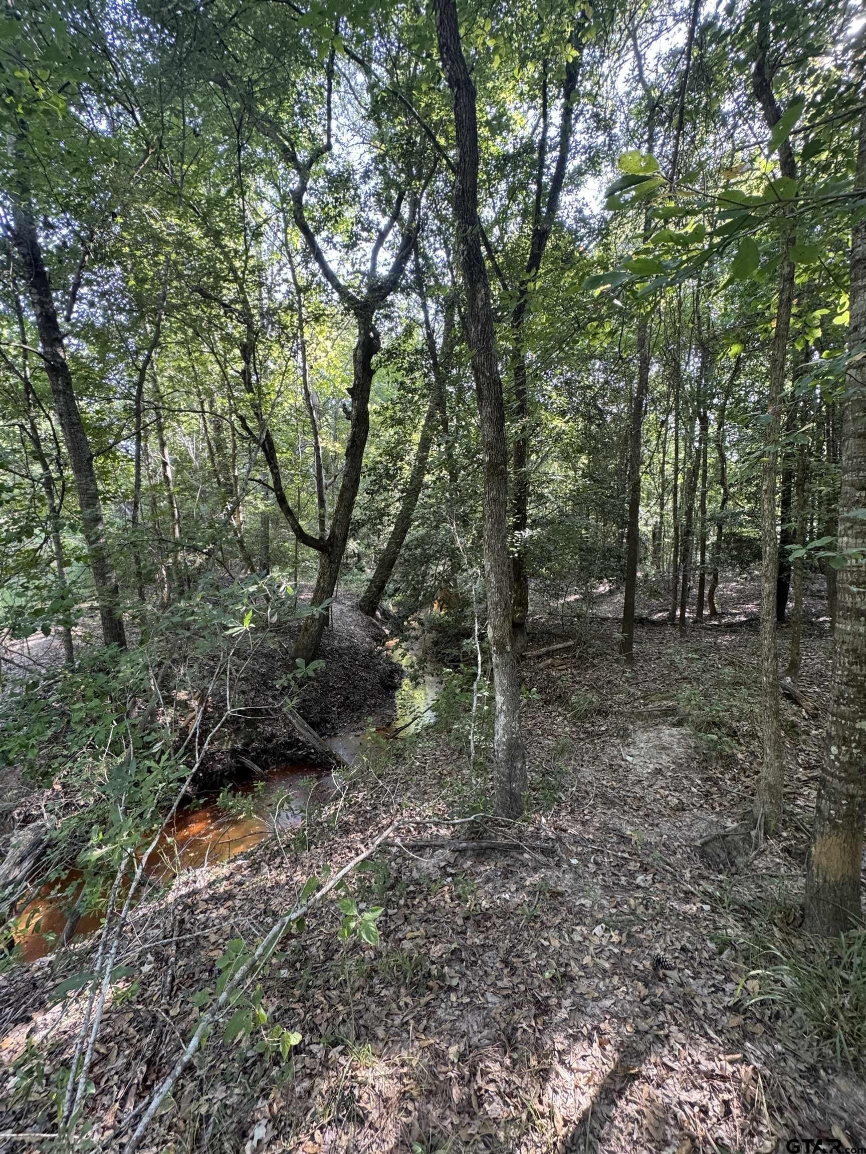 43.65 acres in Anderson County - photo 7