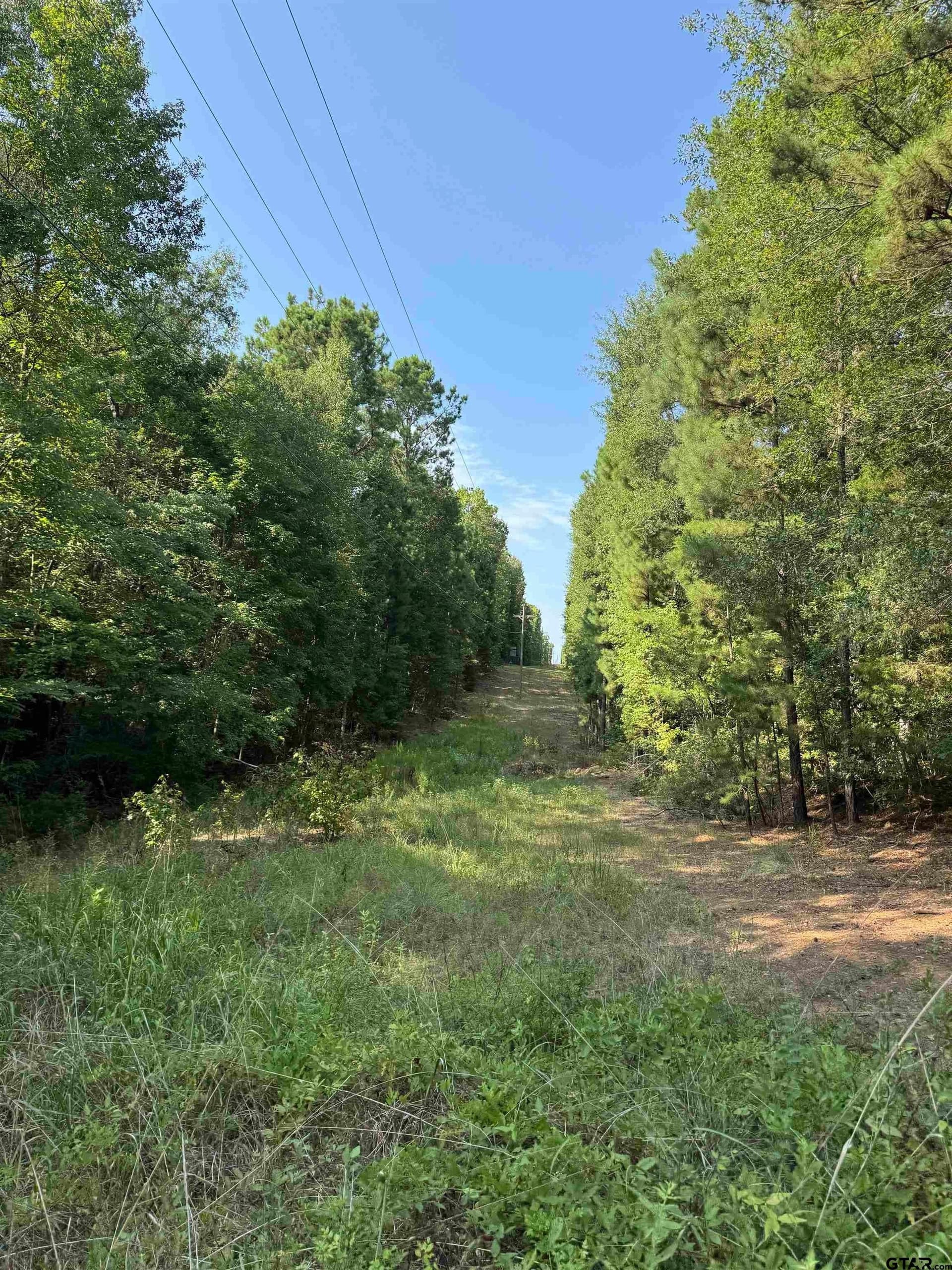 43.65 acres in Anderson County - photo 6