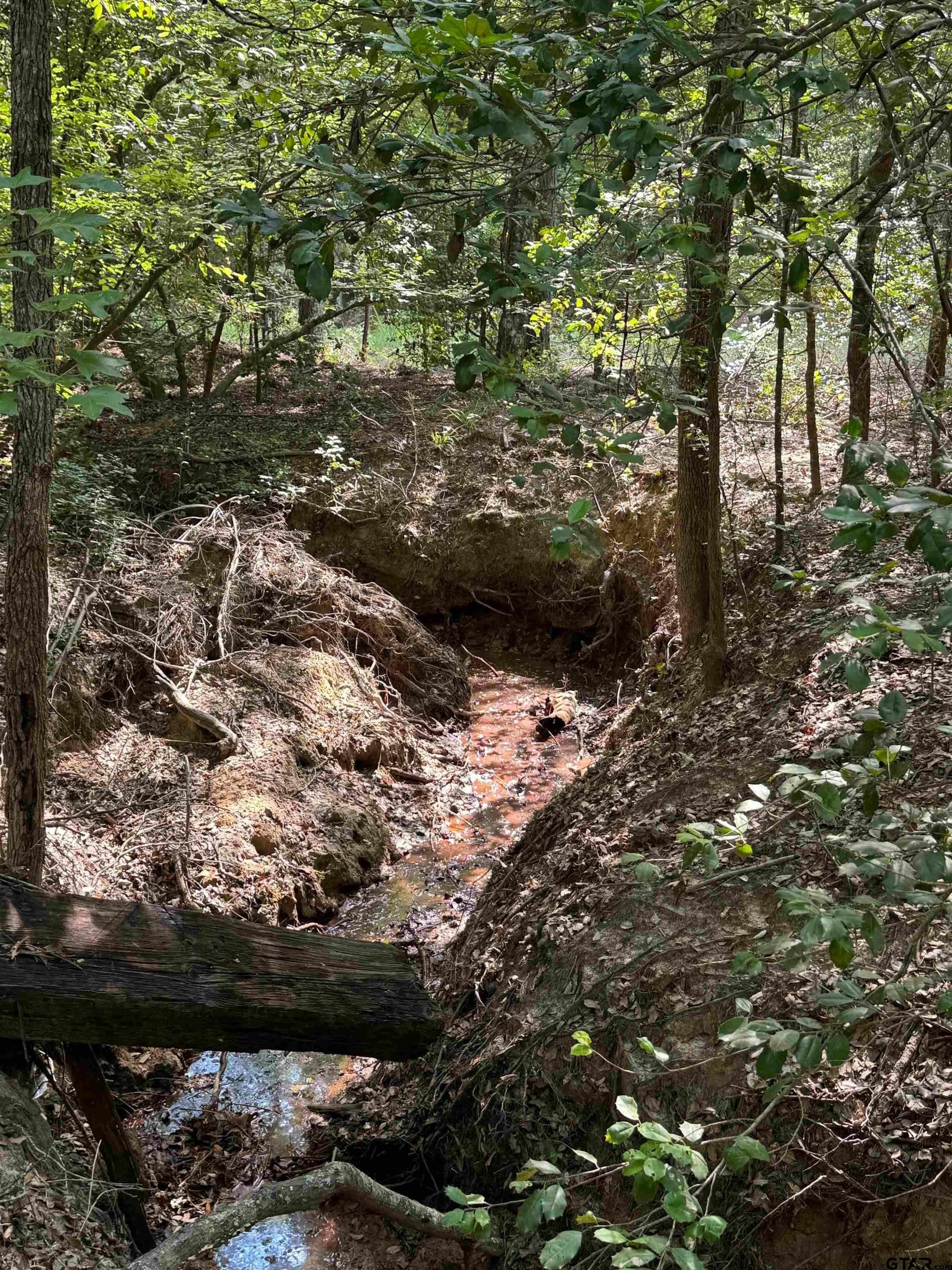 43.65 acres in Anderson County - photo 24