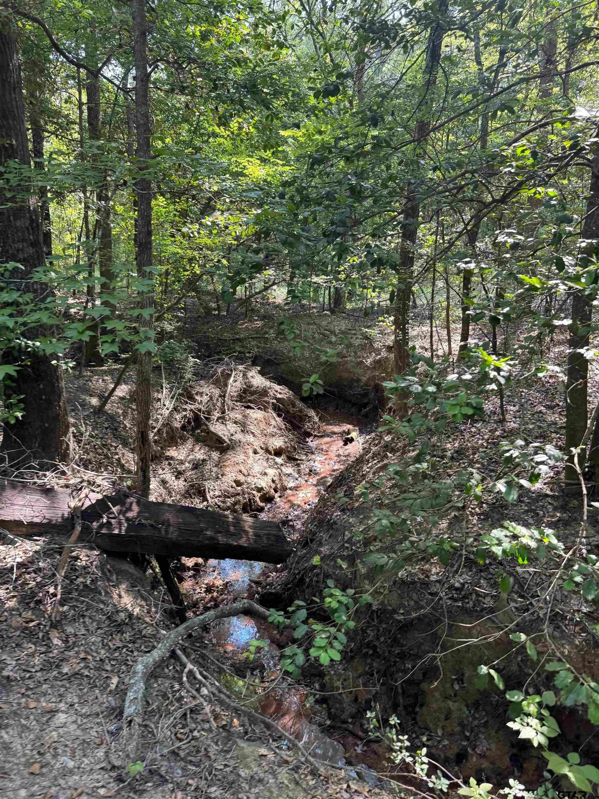43.65 acres in Anderson County - photo 19