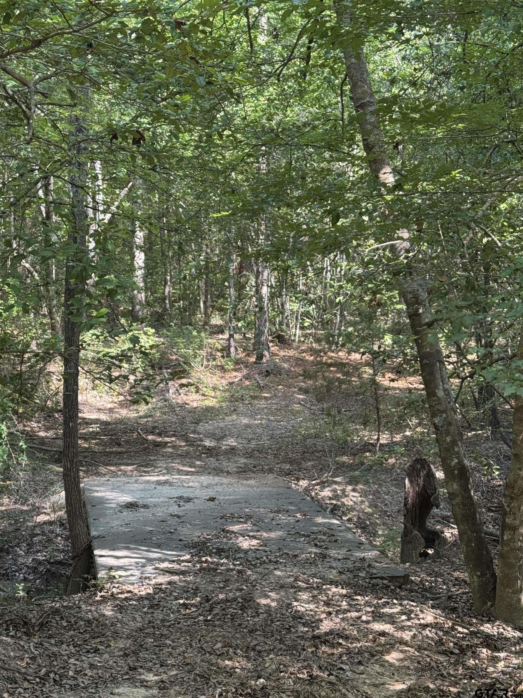 43.65 acres in Anderson County - photo 23