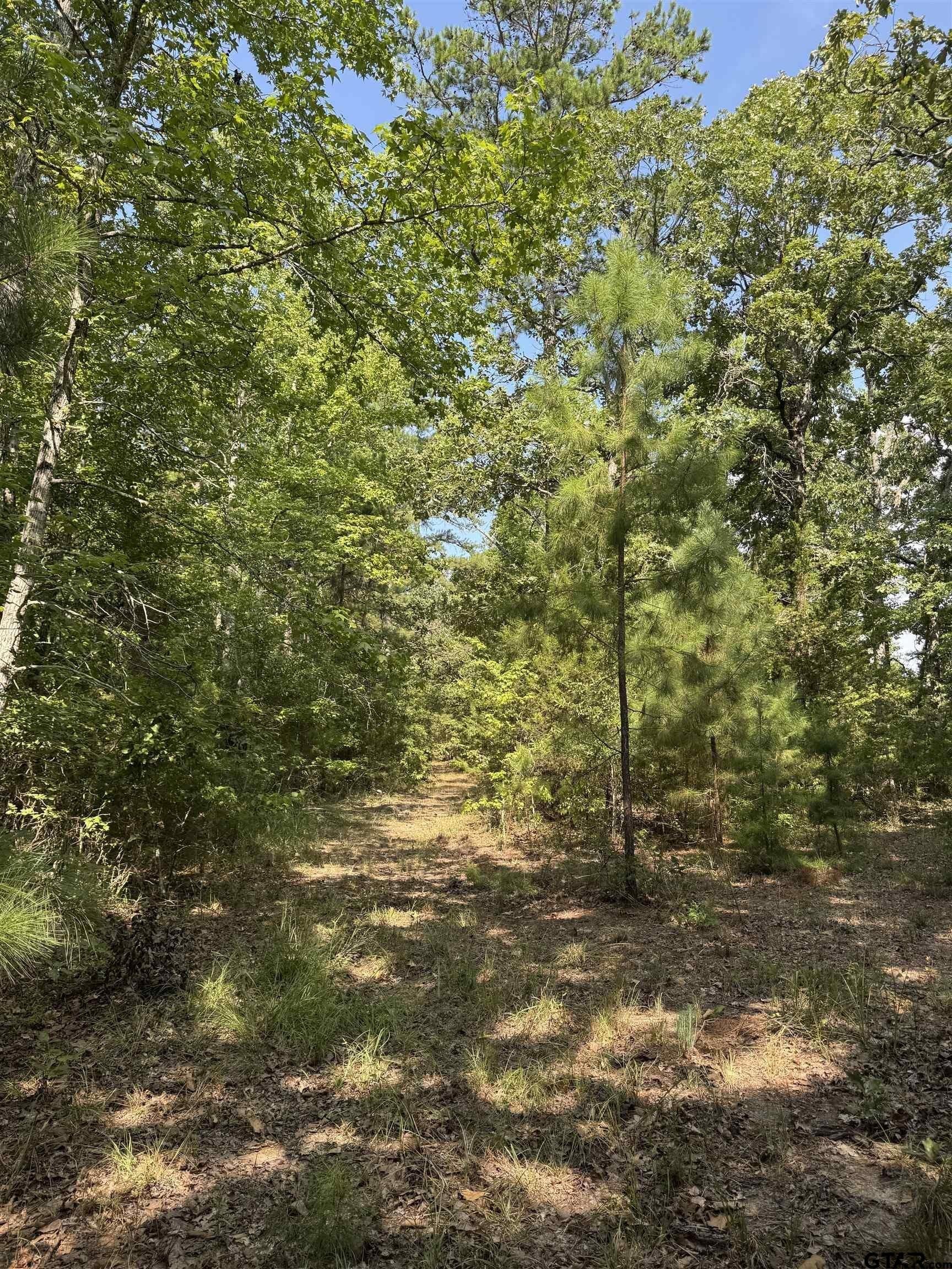 43.65 acres in Anderson County - photo 21