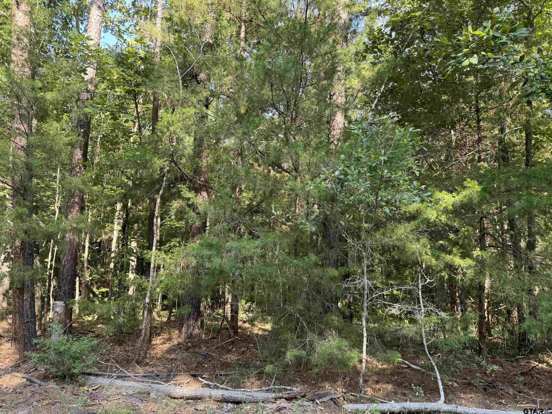 43.65 acres in Anderson County - photo 2