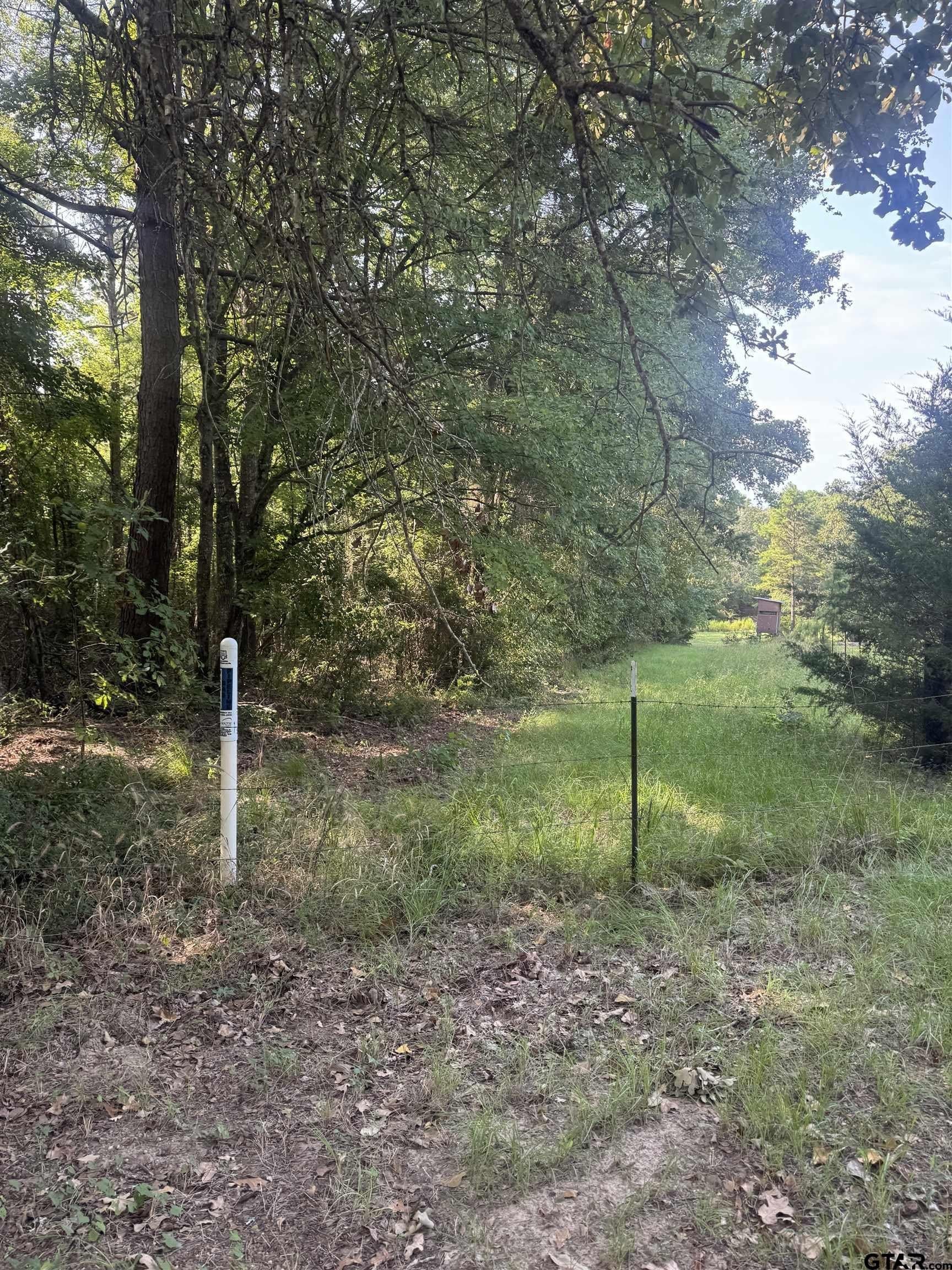 43.65 acres in Anderson County - photo 27
