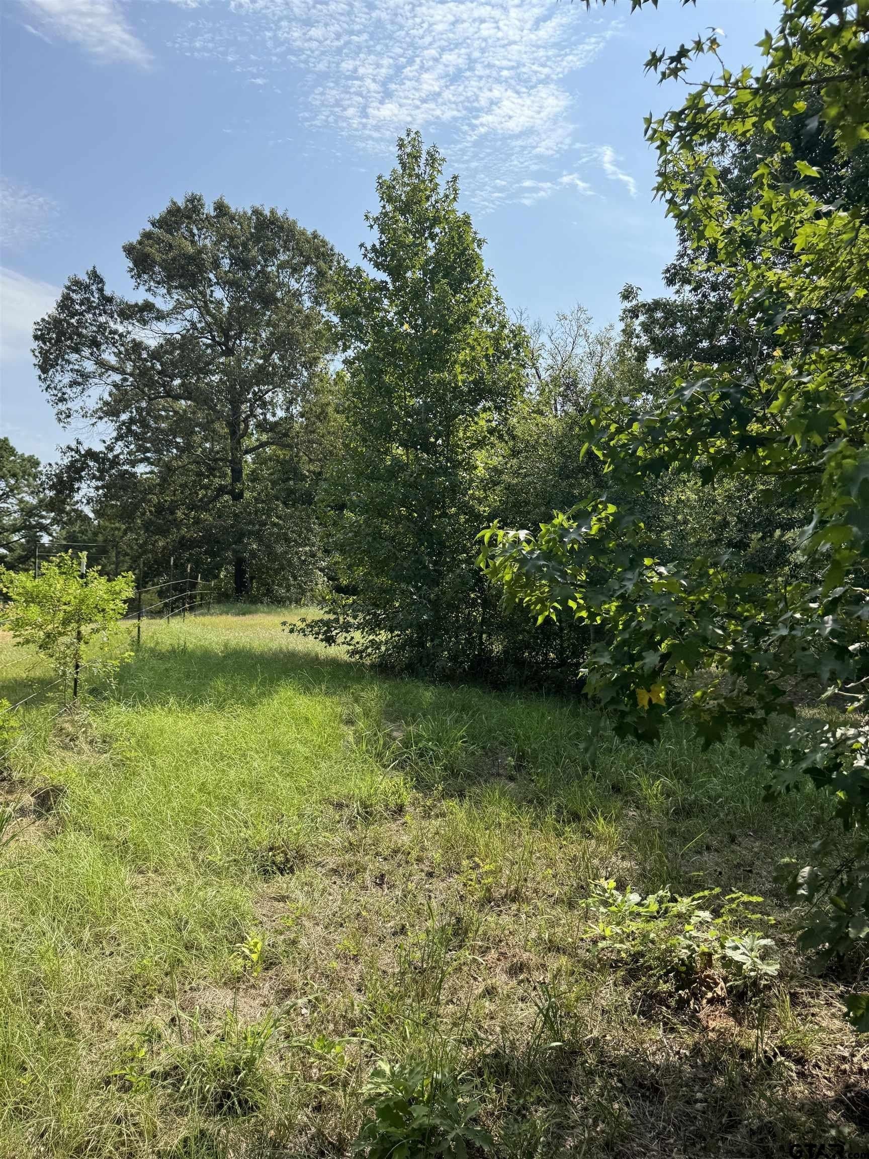 43.65 acres in Anderson County - photo 3