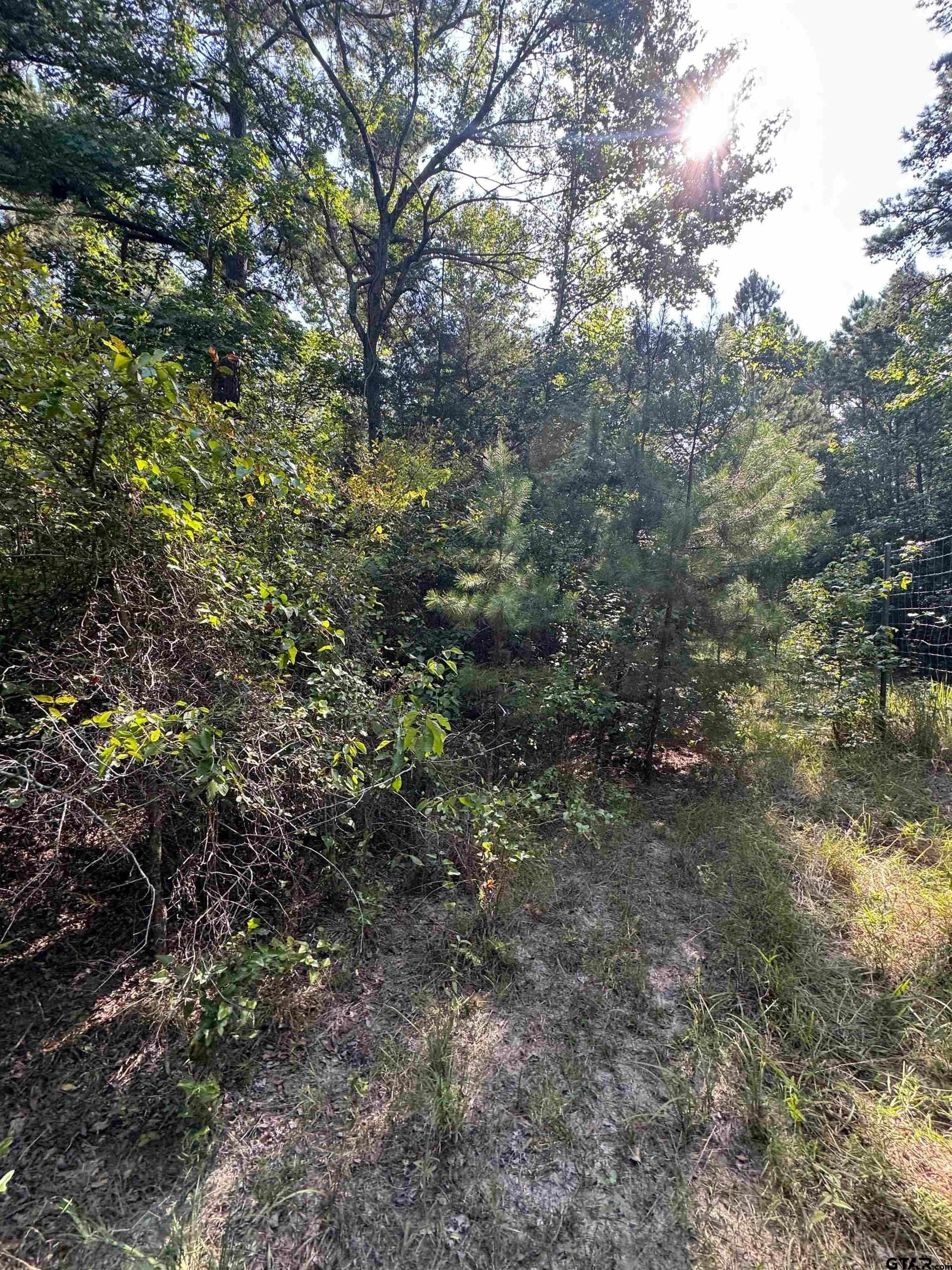 43.65 acres in Anderson County - photo 9