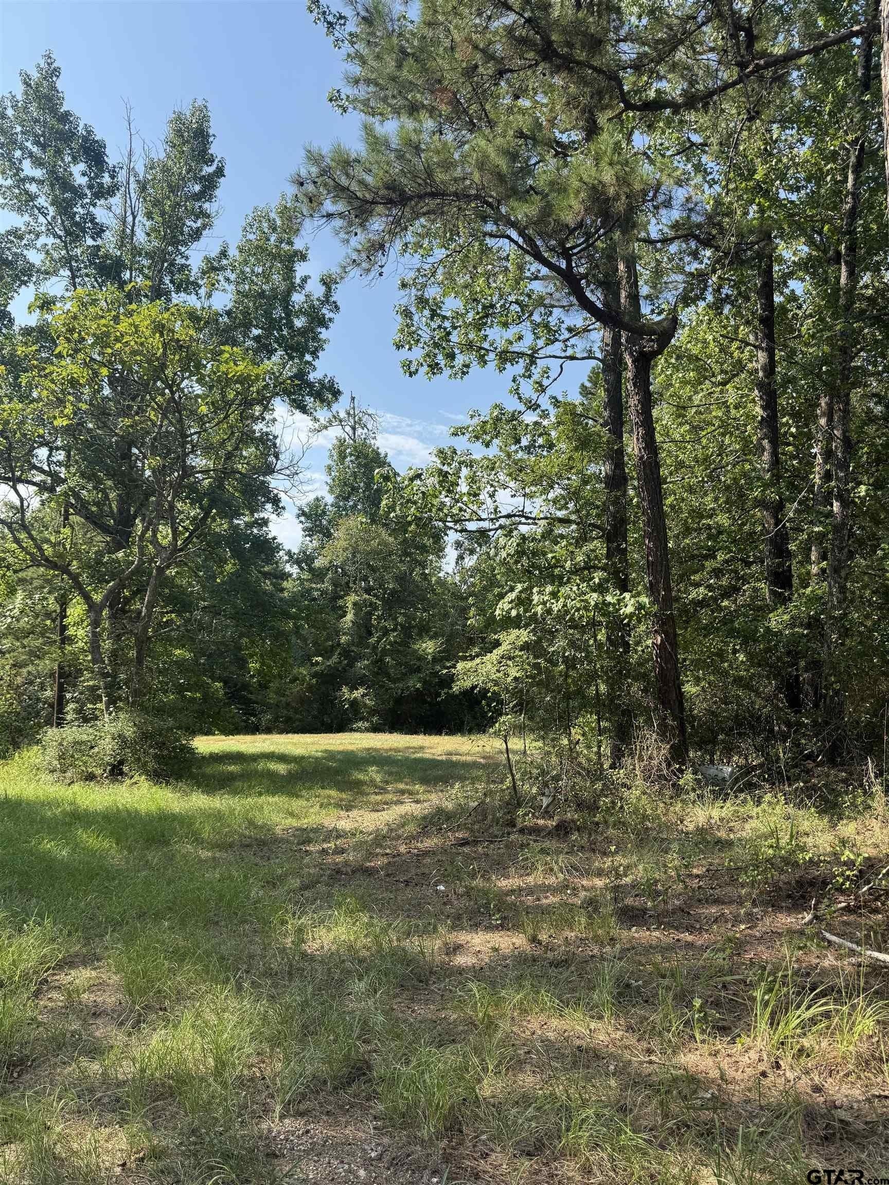 43.65 acres in Anderson County - photo 26