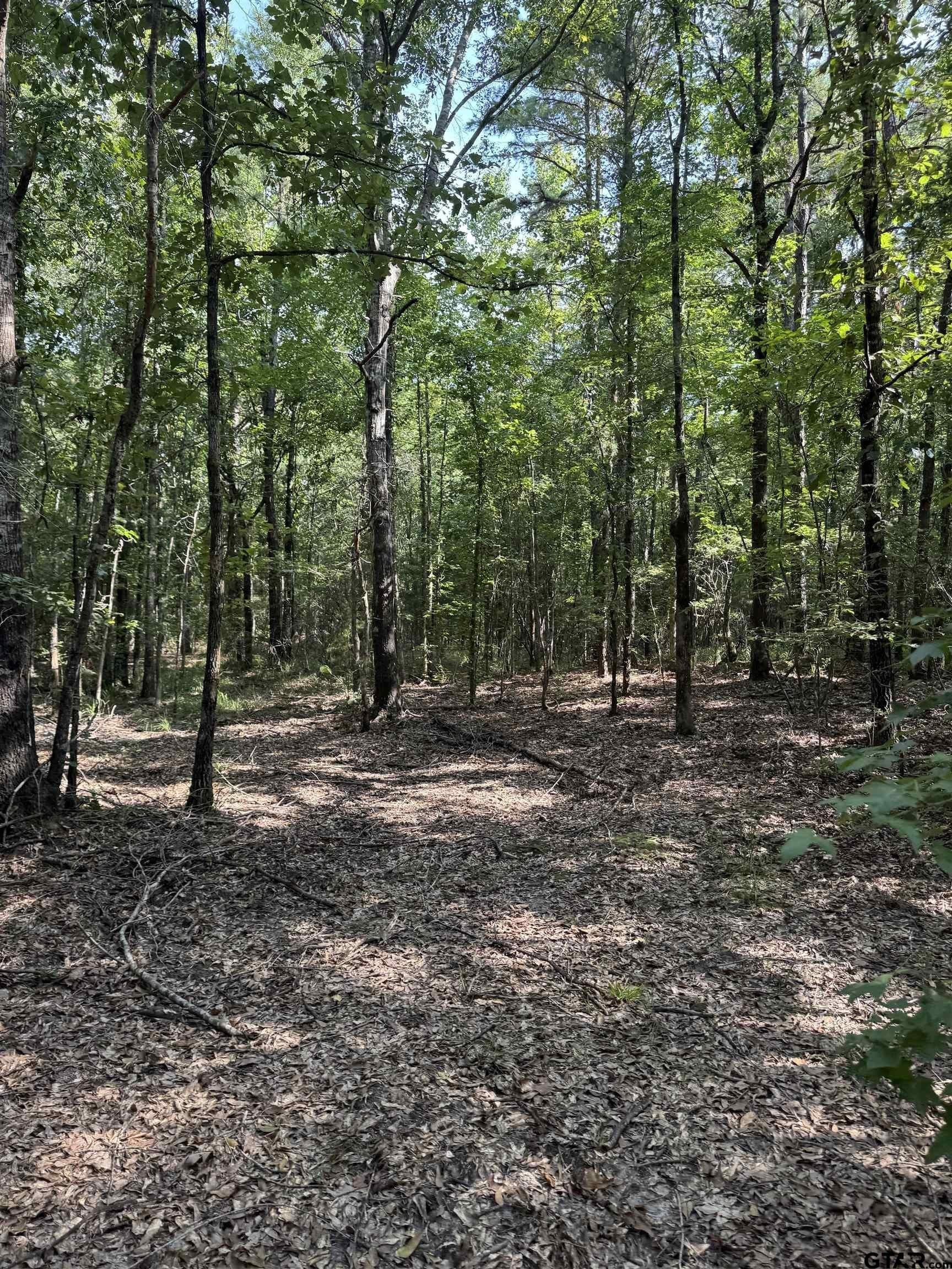 43.65 acres in Anderson County - photo 18