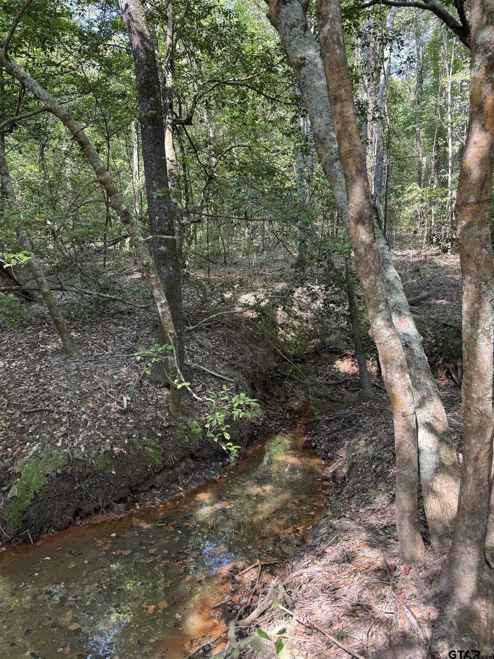 43.65 acres in Anderson County - photo 25