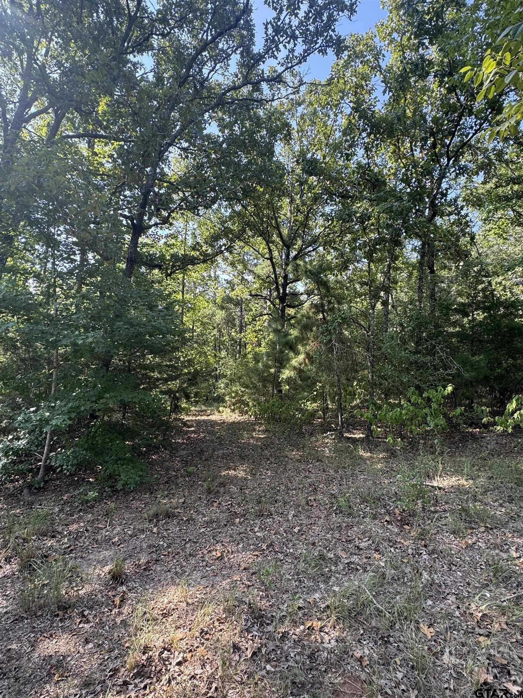 43.65 acres in Anderson County - photo 5