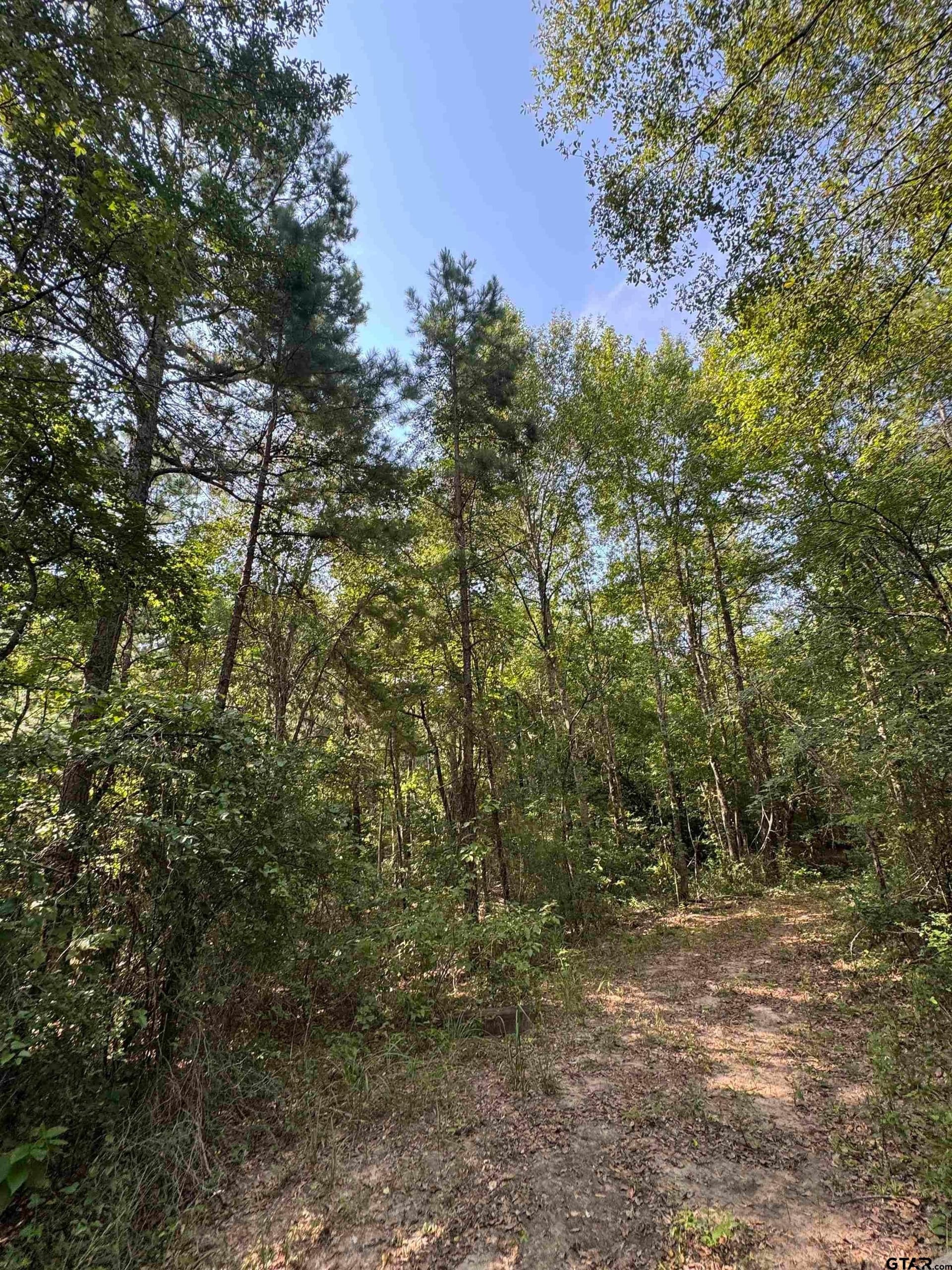 43.65 acres in Anderson County - photo 20