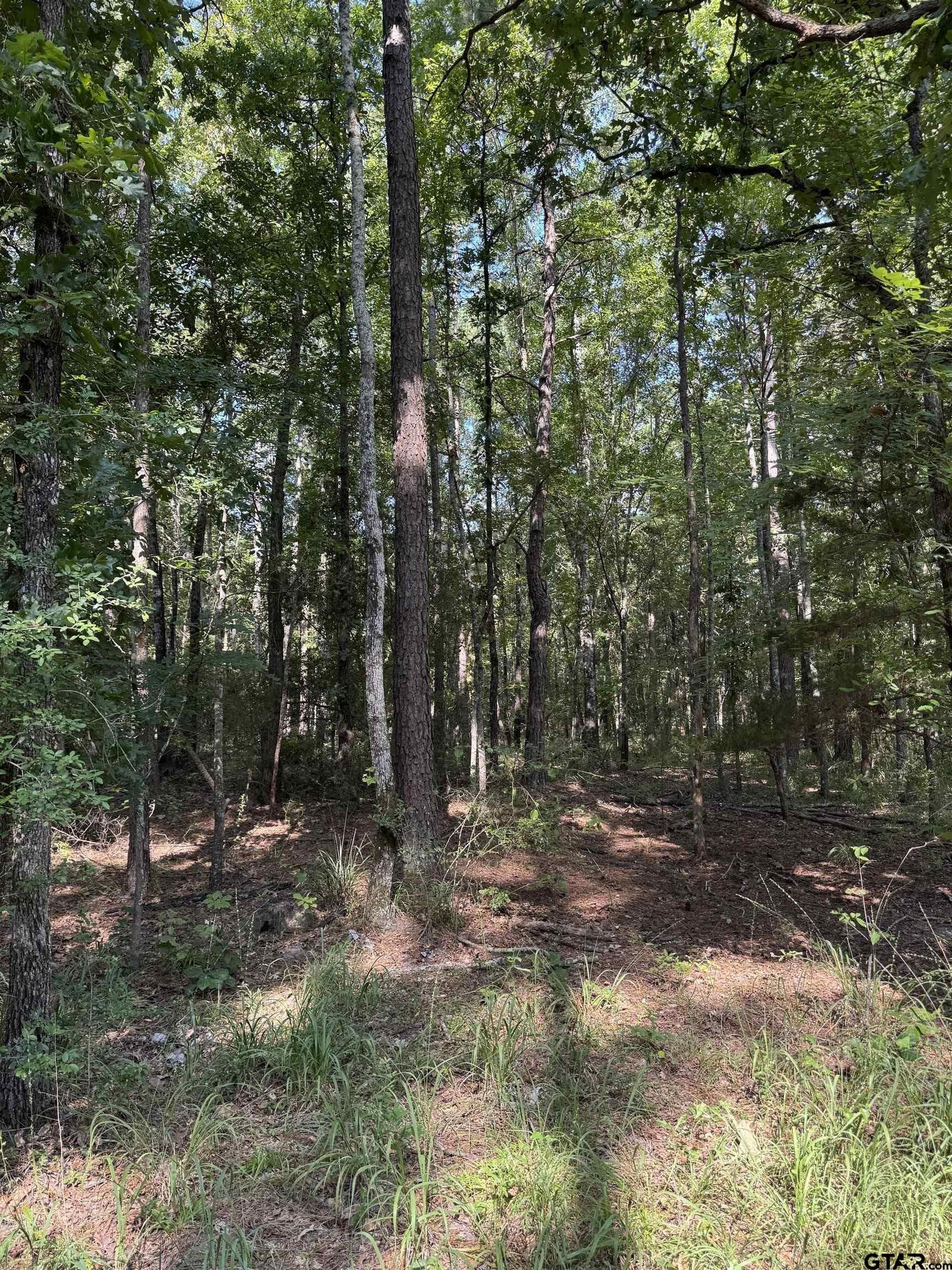 43.65 acres in Anderson County - photo 16