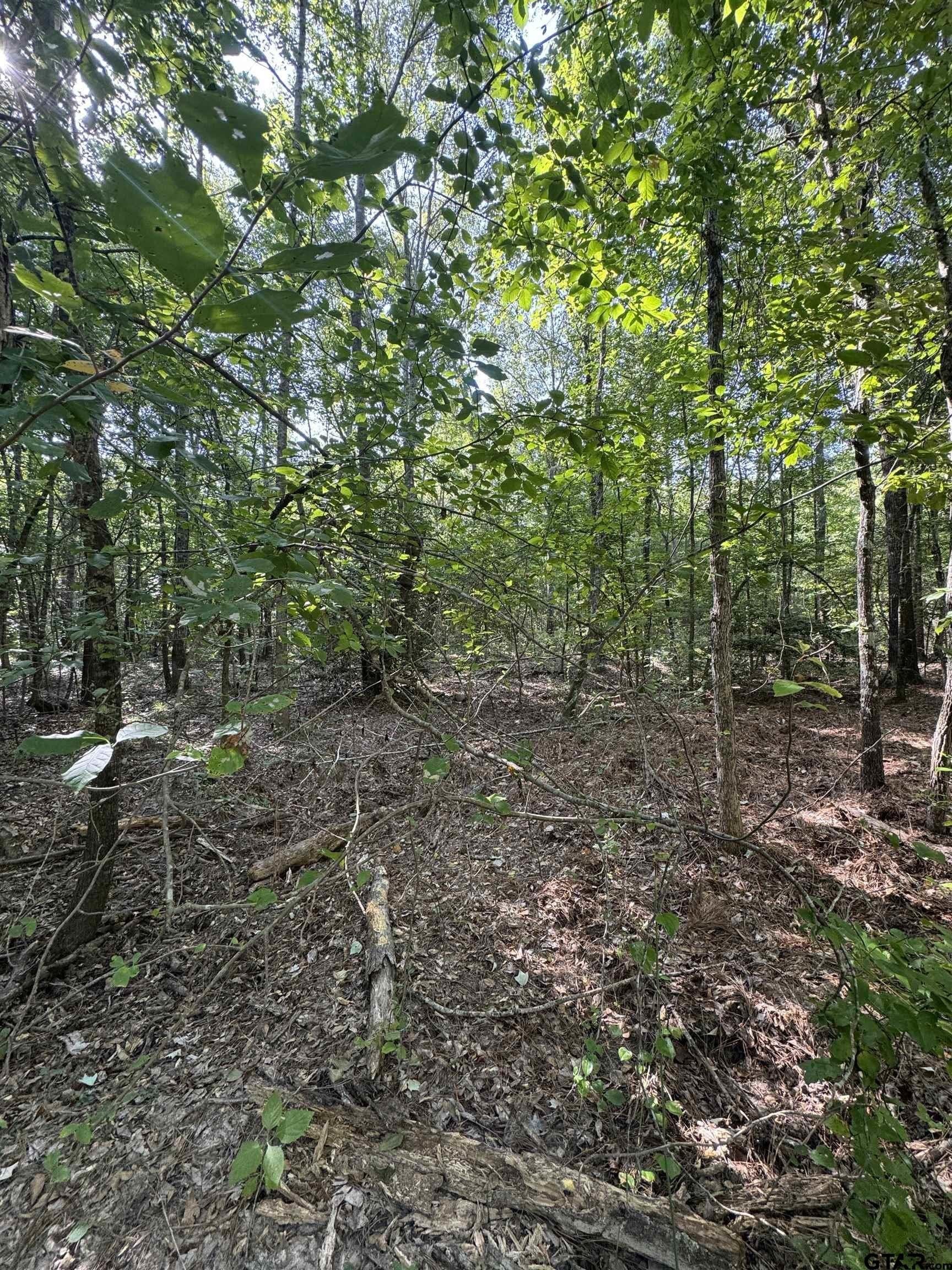 43.65 acres in Anderson County - photo 8
