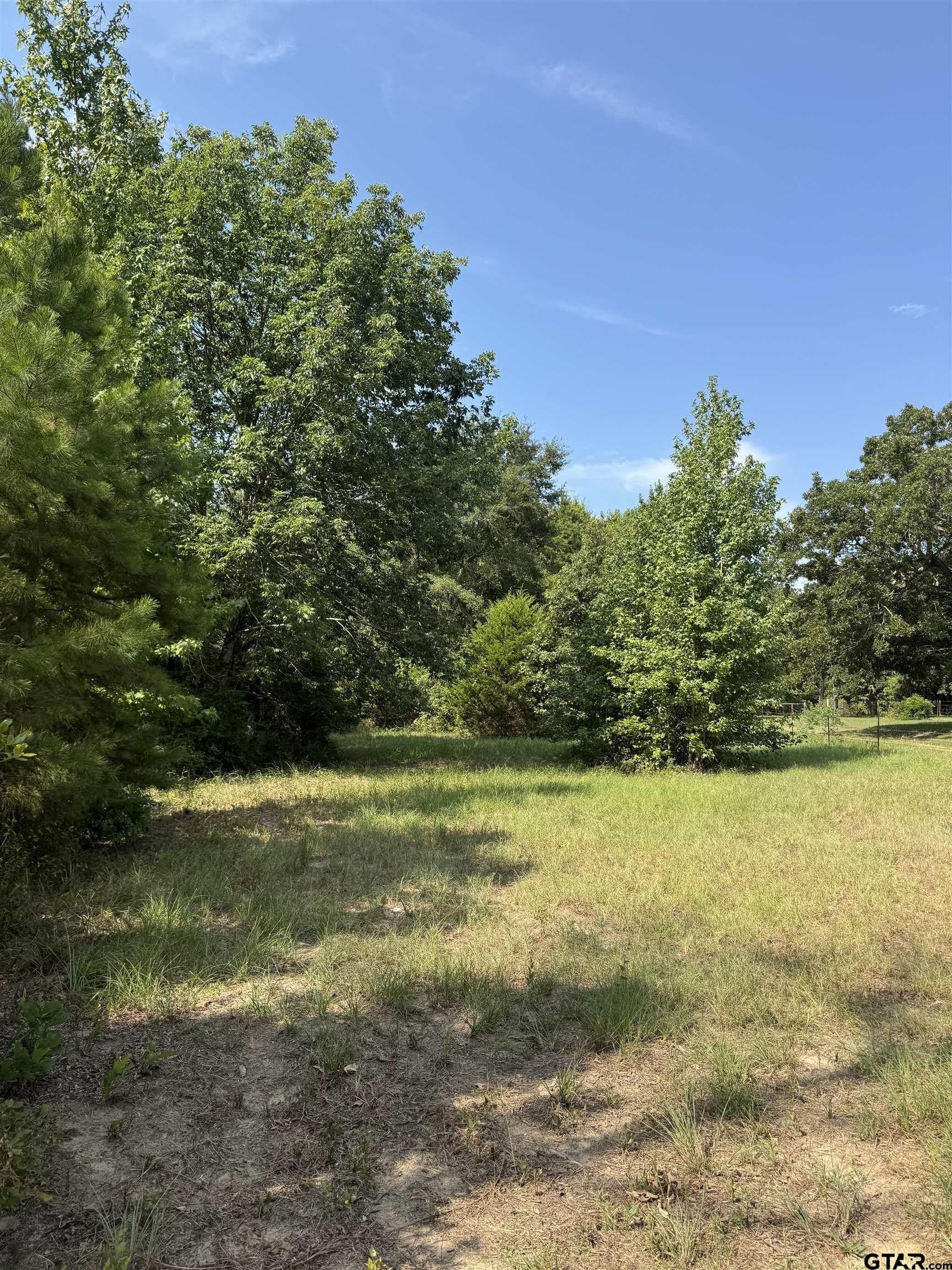 43.65 acres in Anderson County - photo 22