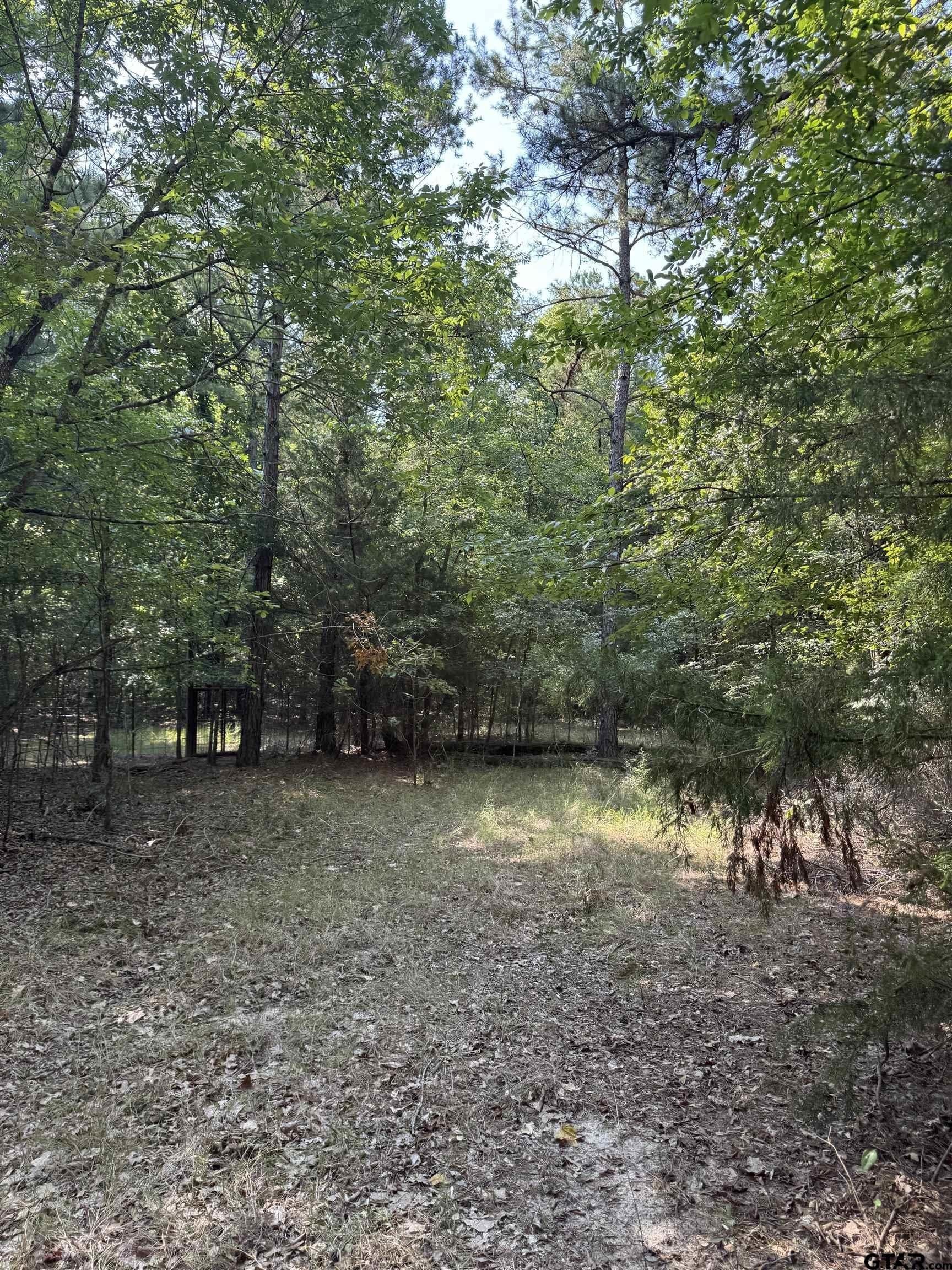 43.65 acres in Anderson County - photo 12