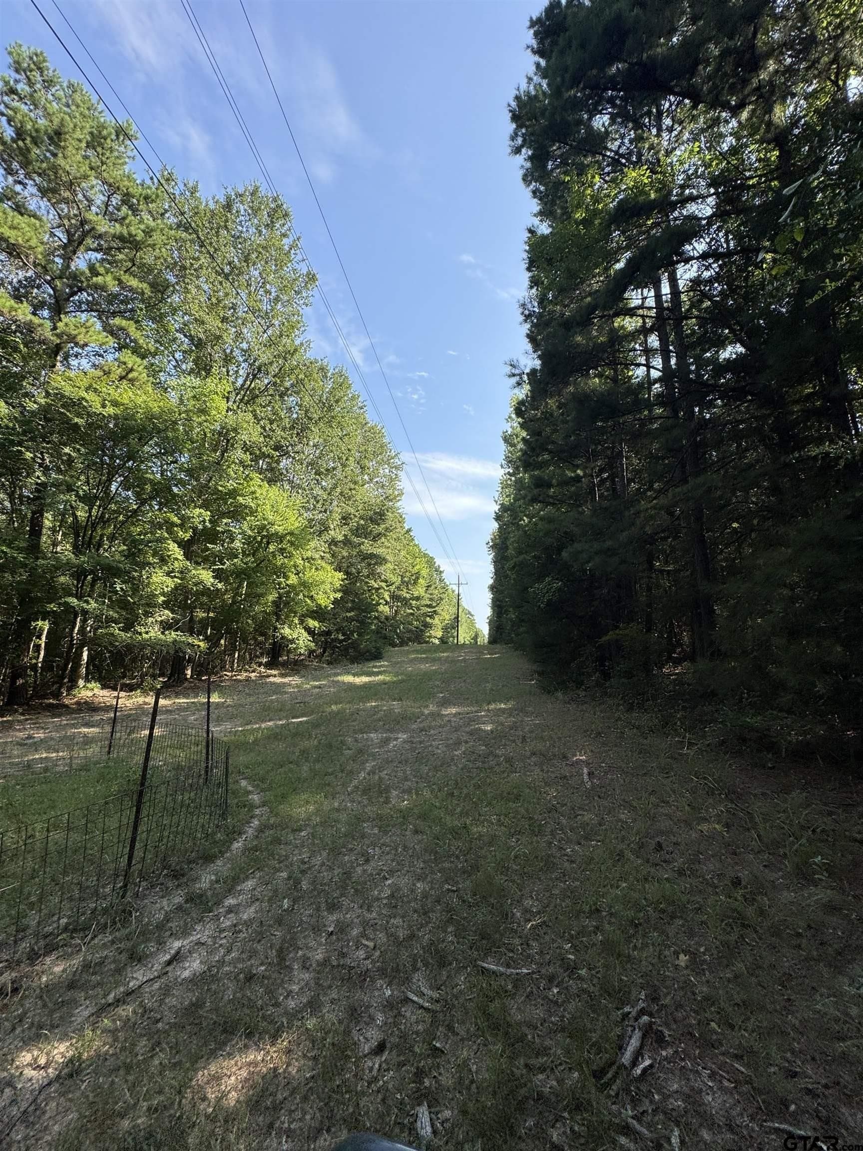 43.65 acres in Anderson County - photo 10