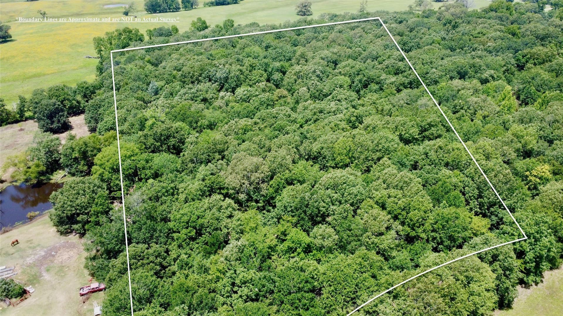 11.2 acres in Lamar County - photo 2