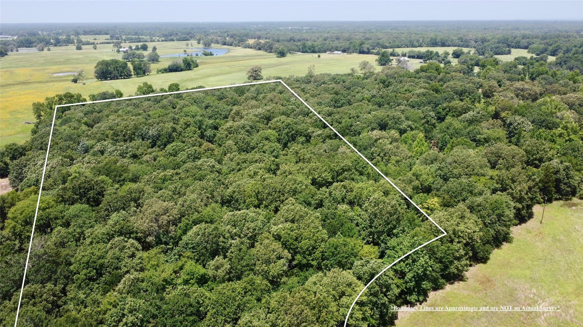 11.2 acres in Lamar County