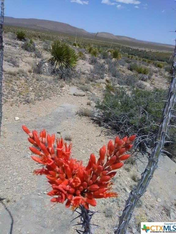 20.04 acres in Hudspeth County gallery image 3