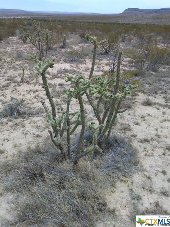20.04 acres in Hudspeth County gallery image 2