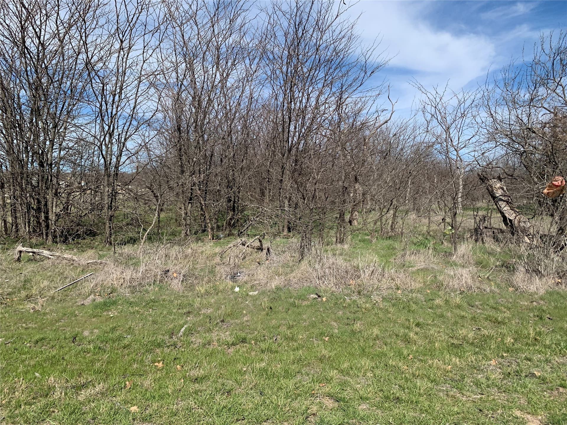 0.28 acres in Wise County - photo 15