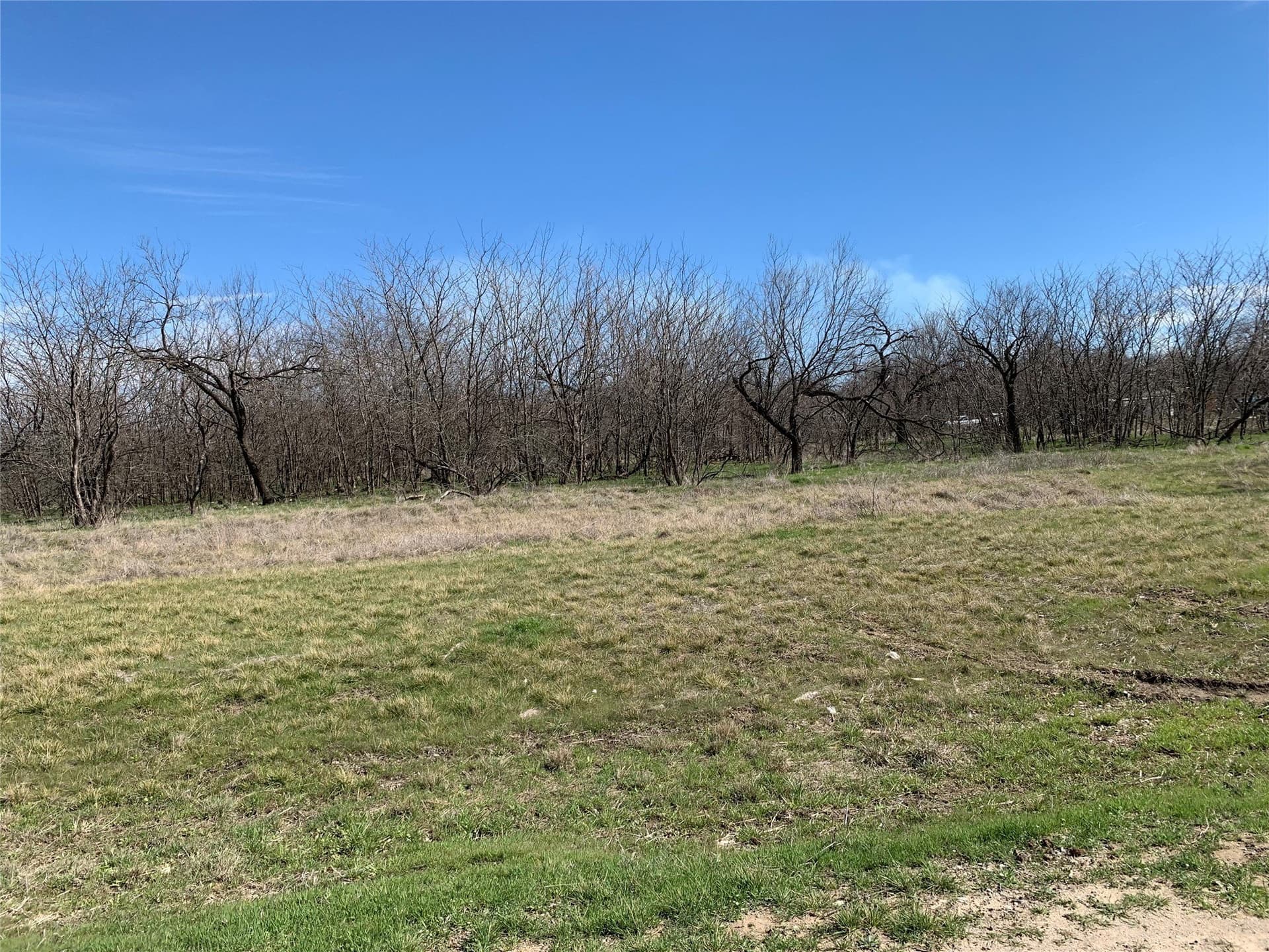 0.28 acres in Wise County - photo 10