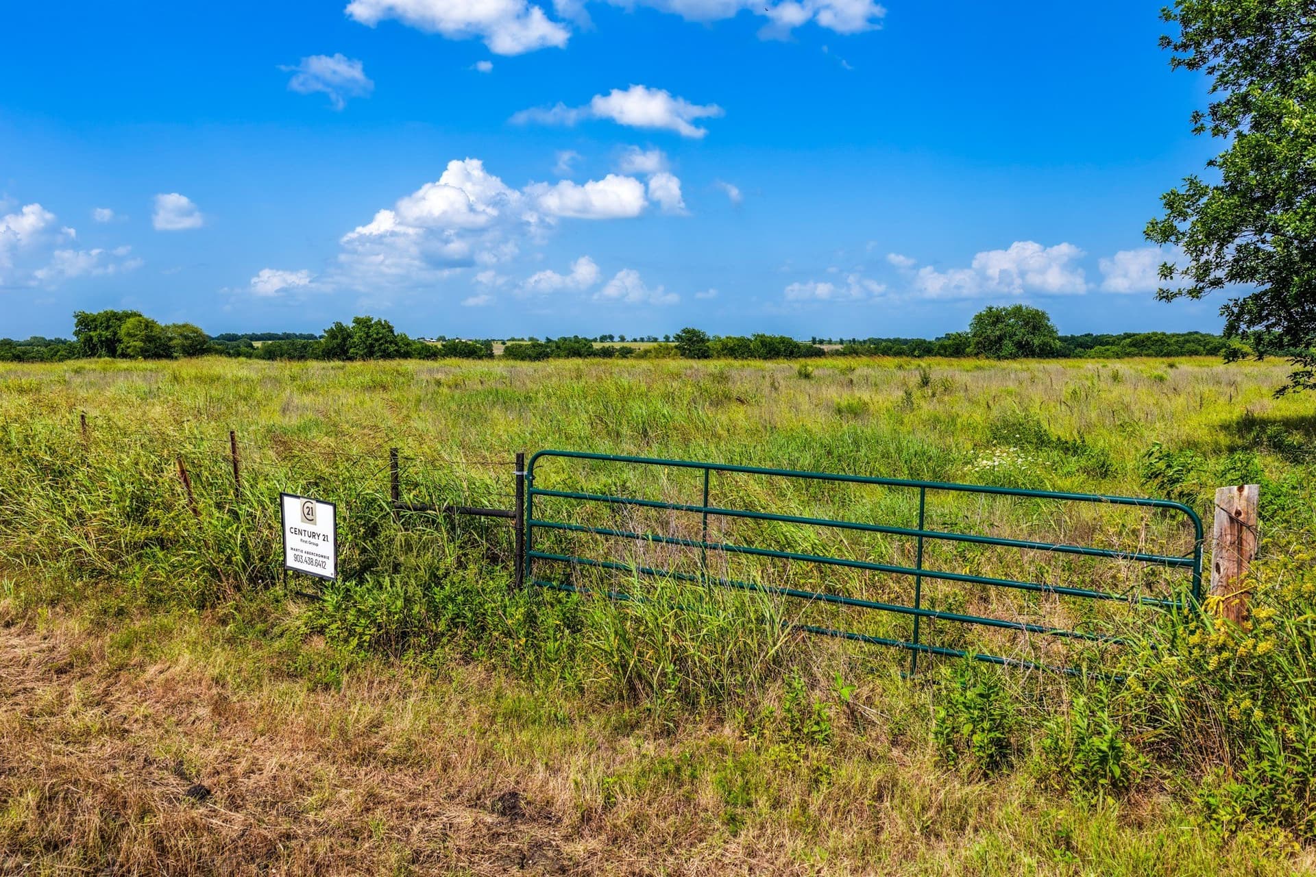 2.1 acres in Delta County gallery image 2