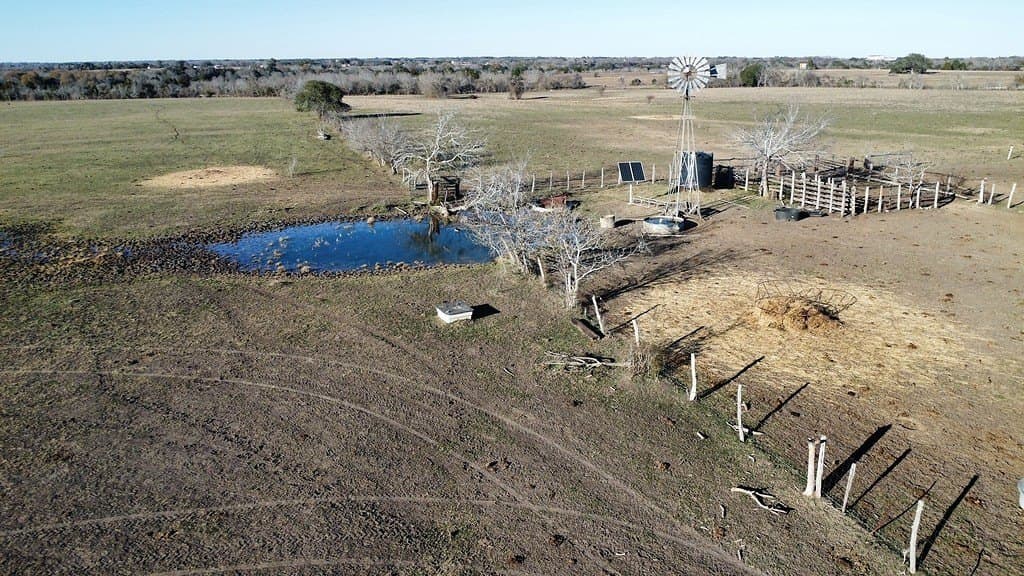 64 acres in Colorado County gallery image 4