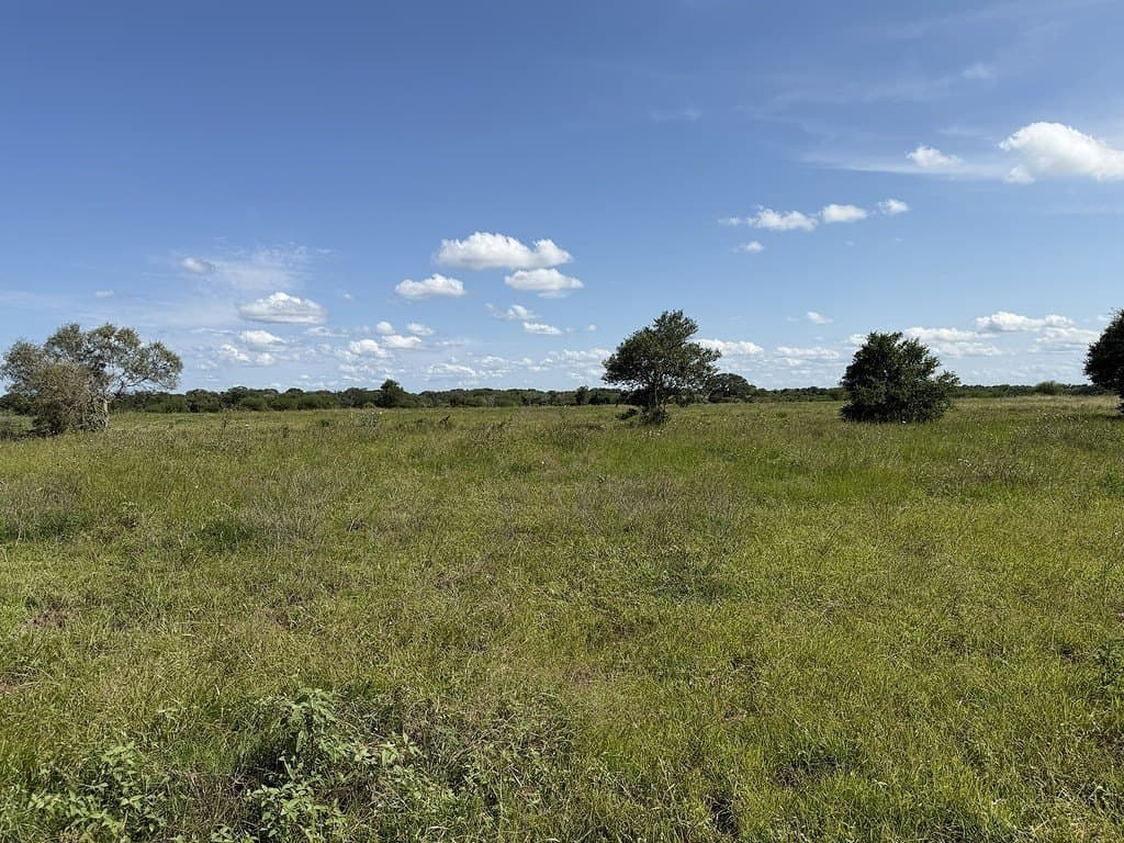 10.81 acres in Colorado County - photo 10