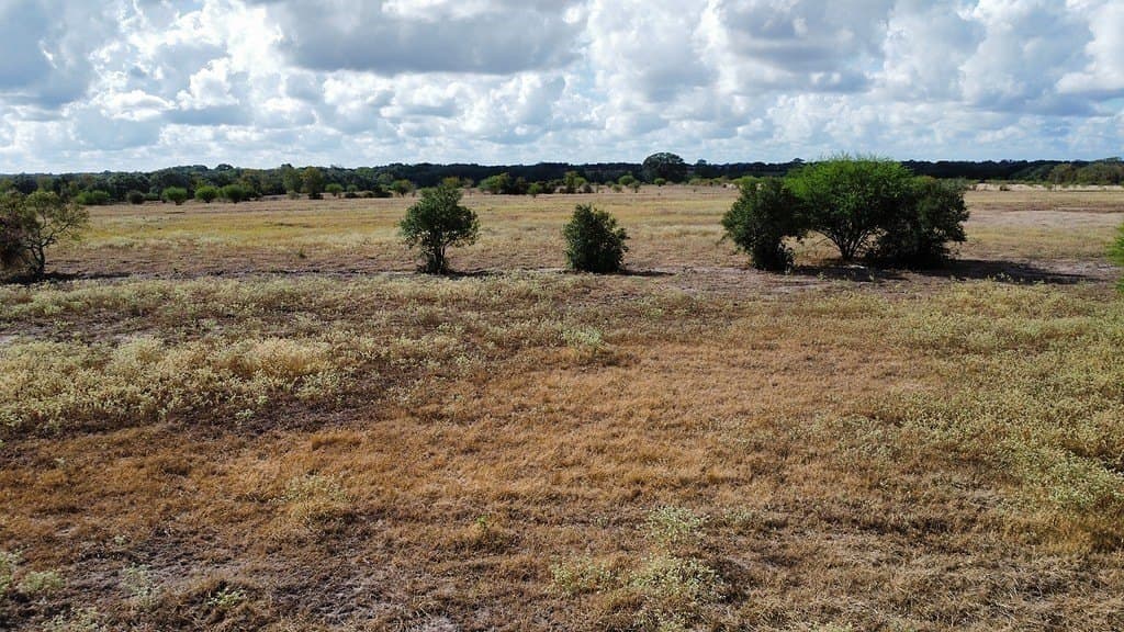 10.81 acres in Colorado County - photo 15