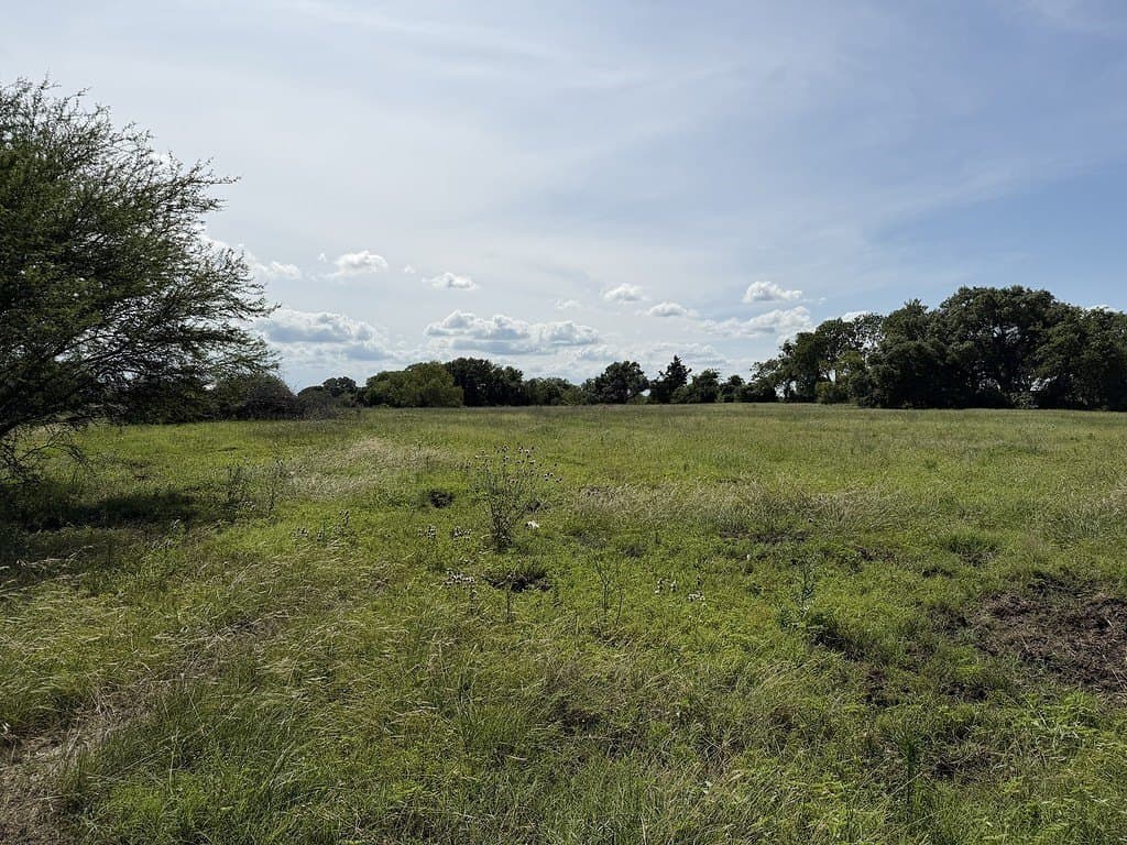 10.81 acres in Colorado County - photo 13
