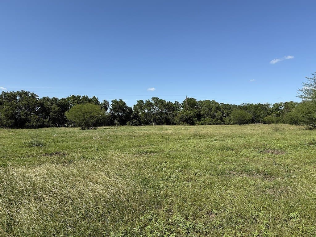 10.81 acres in Colorado County - photo 6