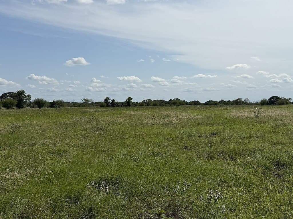 10.81 acres in Colorado County - photo 12