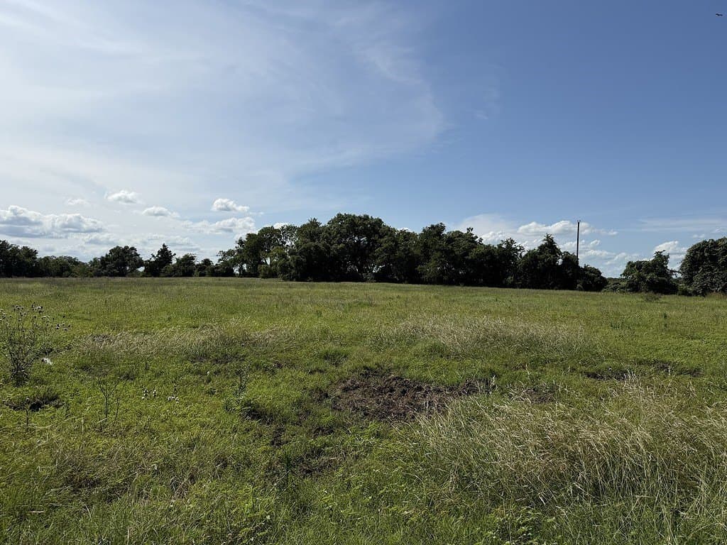 10.81 acres in Colorado County - photo 9