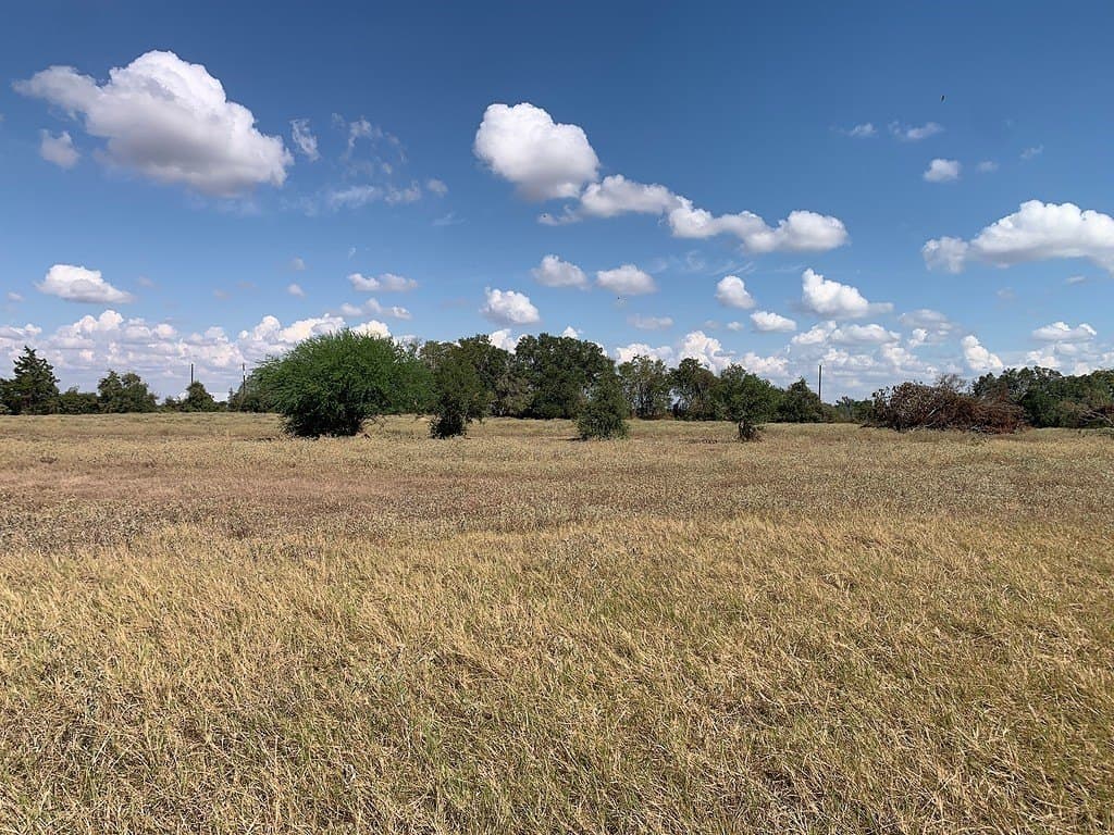 10.81 acres in Colorado County - photo 5