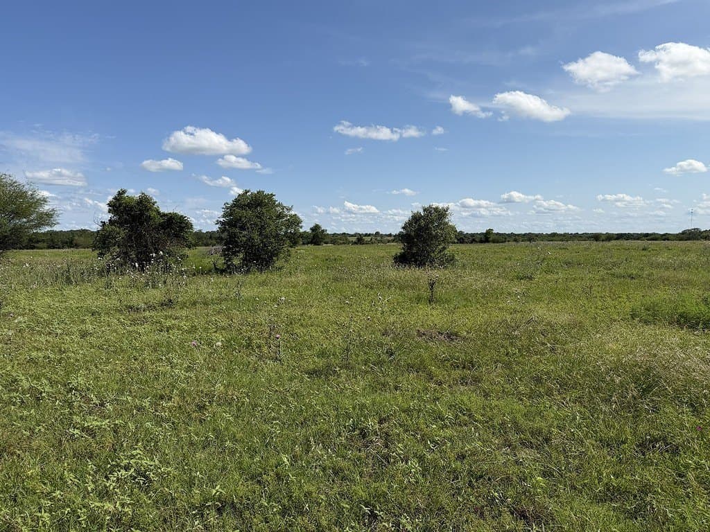 10.81 acres in Colorado County - photo 7