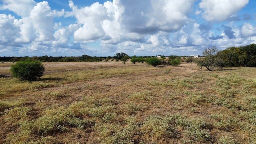 10.81 acres in Colorado County - photo 14