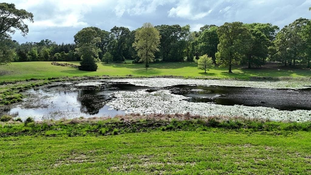 15.47 acres in Texas County featured view